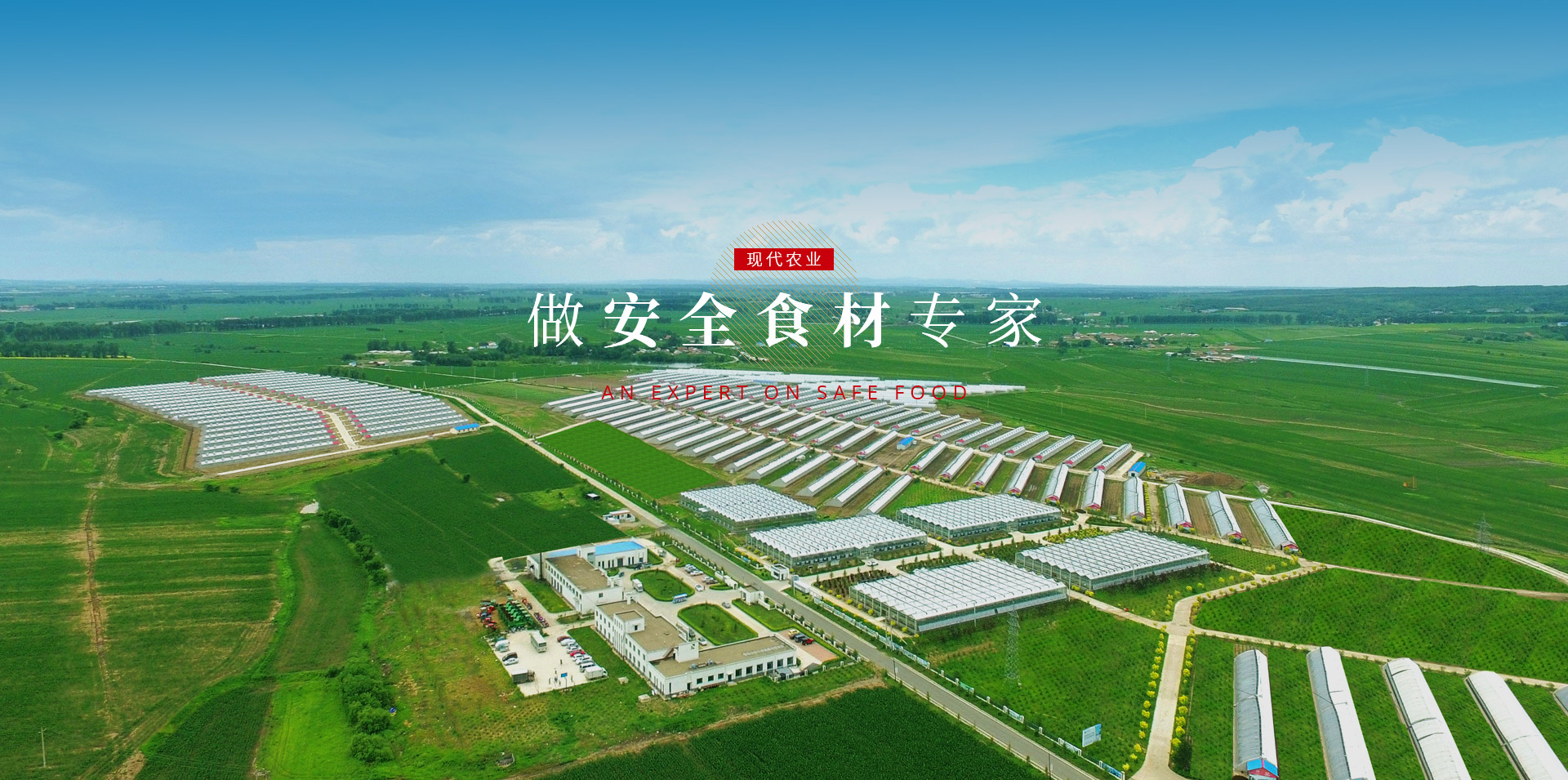 尊龙Z6官方网站