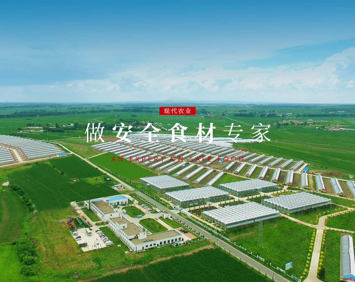 尊龙Z6官方网站