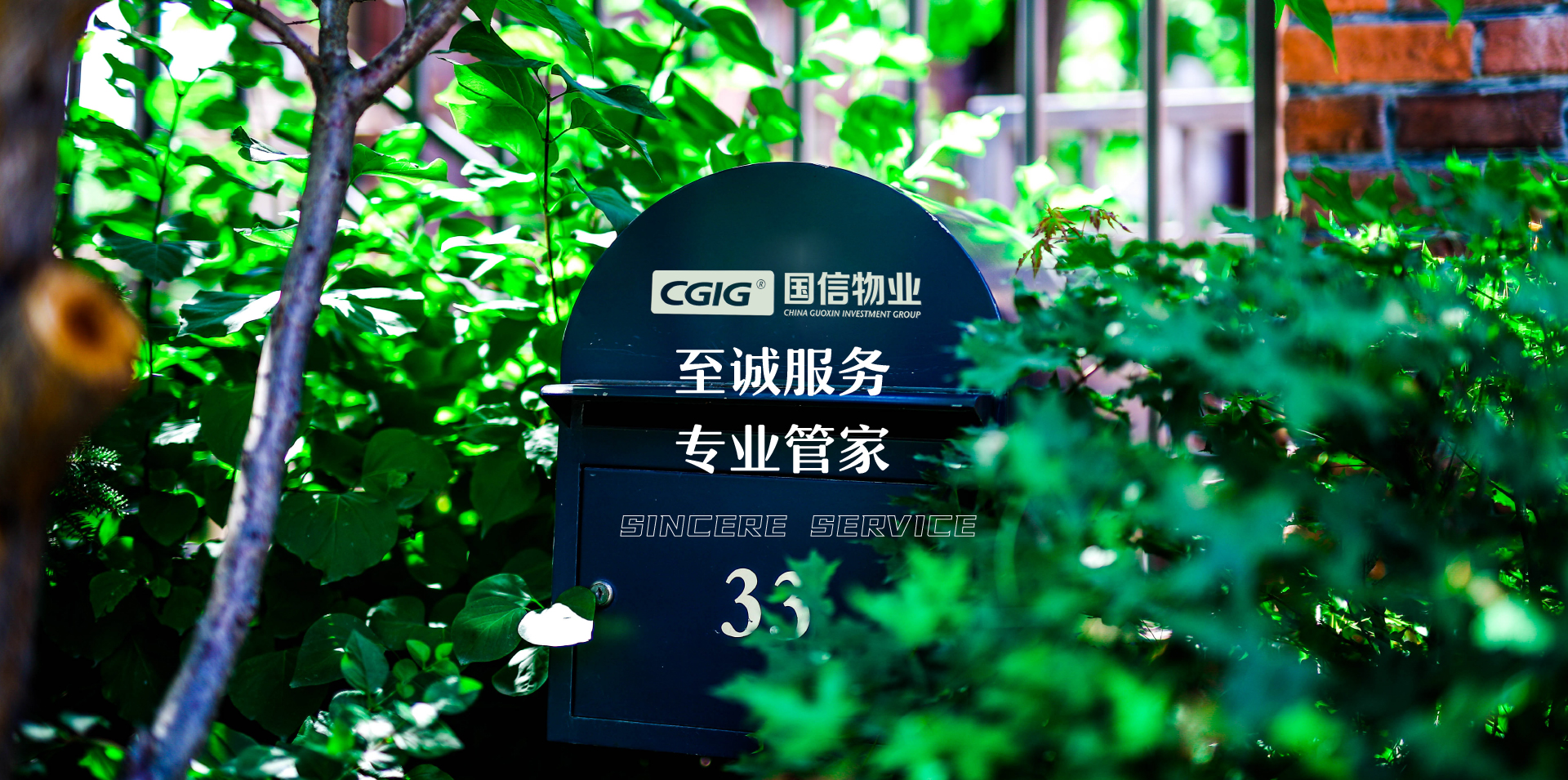 尊龙Z6官方网站