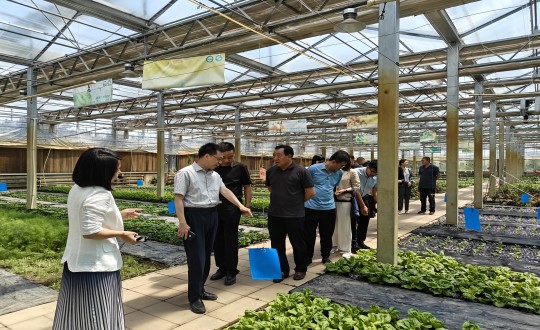 2024年6月27日，中国绿色食品发展中心有关辅导莅临农业总公司调查调研_副本.jpg